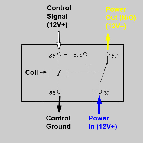 Horn Wiring Diagram Without Relay from www.billavista.com