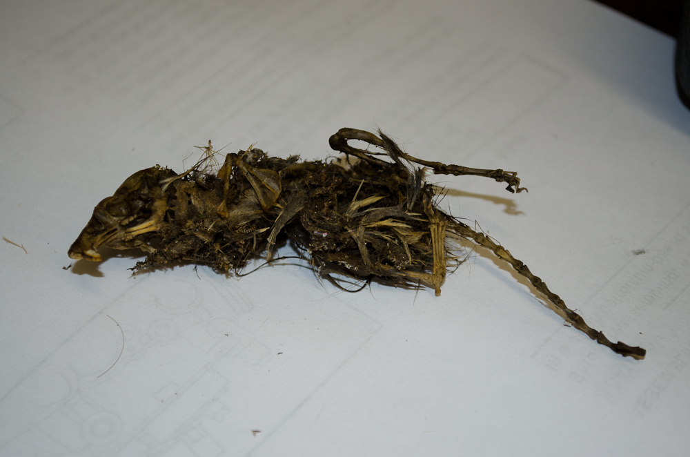 Starcraft-2013-Jul-09-5678.jpg